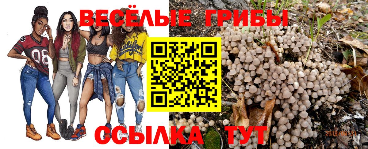 Псилоцибиновые грибы Magic Shrooms  Вход с VPN  Саратов 